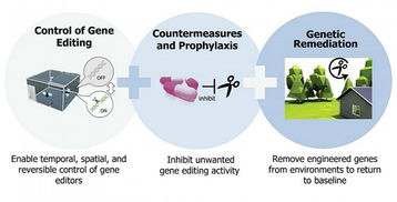 DARPA斥資6500萬美元推進基因編輯與神經技術融合，開啟高分辨率腦機接口新紀元