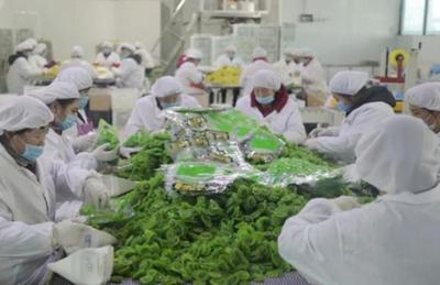 看“四園”促發(fā)展 2019網(wǎng)絡(luò)媒體周至行采風(fēng)活動(dòng)圓滿(mǎn)落幕，聚焦食品銷(xiāo)售創(chuàng)新