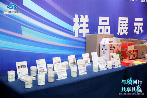 貴州磷化集團 以數字文創賦能石膏綠色應用，引領產業服務新交流